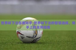 世界杯下注在哪知乎-世界杯下注的智慧选择，知乎上的实用指南