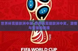 世界杯竞猜欧洲中奖-世界杯竞猜欧洲中奖，激情与智慧的碰撞