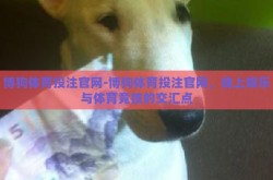 博狗体育投注官网-博狗体育投注官网，线上娱乐与体育竞技的交汇点