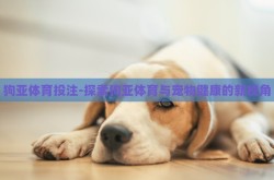 狗亚体育投注-探索狗亚体育与宠物健康的新视角