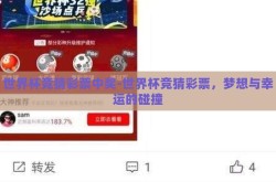 世界杯竞猜彩票中奖-世界杯竞猜彩票，梦想与幸运的碰撞