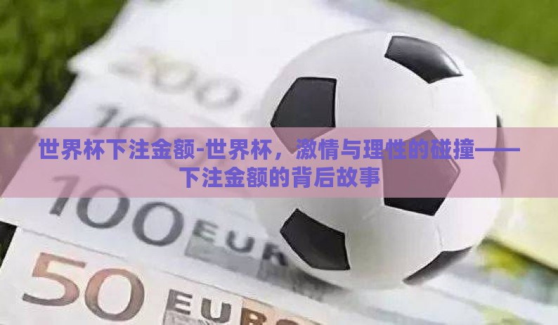 世界杯下注金额-世界杯，激情与理性的碰撞——下注金额的背后故事