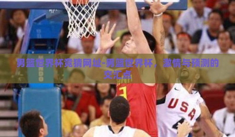 男篮世界杯竞猜网址-男篮世界杯，激情与预测的交汇点