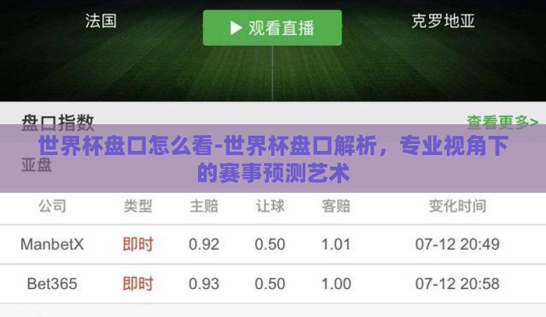 世界杯盘口怎么看-世界杯盘口解析，专业视角下的赛事预测艺术