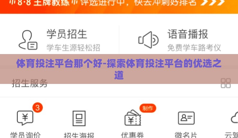 体育投注平台那个好-探索体育投注平台的优选之道