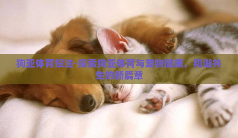 狗亚体育投注-探索狗亚体育与宠物健康，和谐共生的新篇章