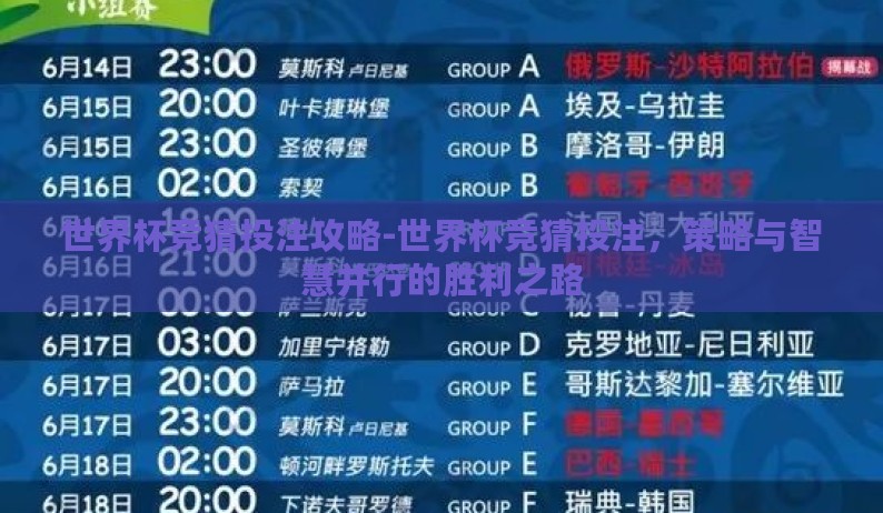 世界杯竞猜投注攻略-世界杯竞猜投注，策略与智慧并行的胜利之路