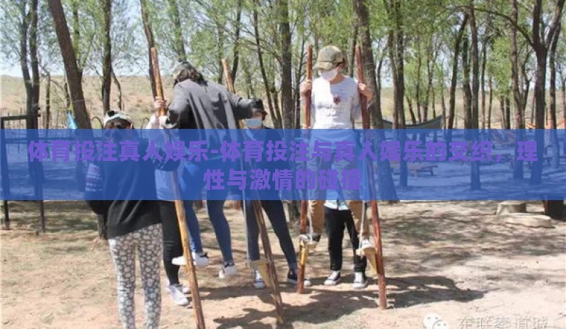 体育投注真人娱乐-体育投注与真人娱乐的交织，理性与激情的碰撞