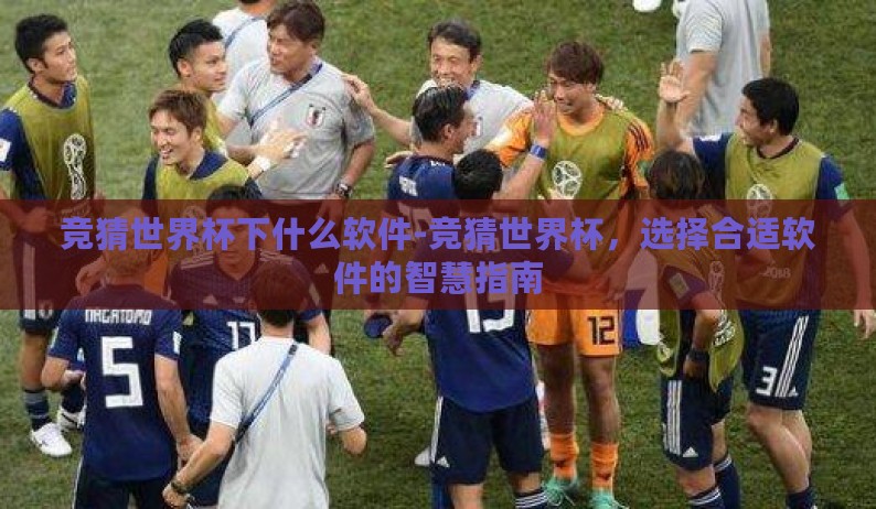 竞猜世界杯下什么软件-竞猜世界杯，选择合适软件的智慧指南