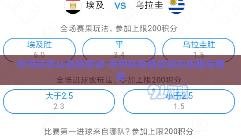 世界杯怎么竞猜买球-世界杯竞猜买球的乐趣与策略
