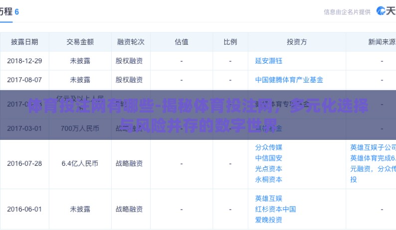 体育投注网有哪些-揭秘体育投注网，多元化选择与风险并存的数字世界