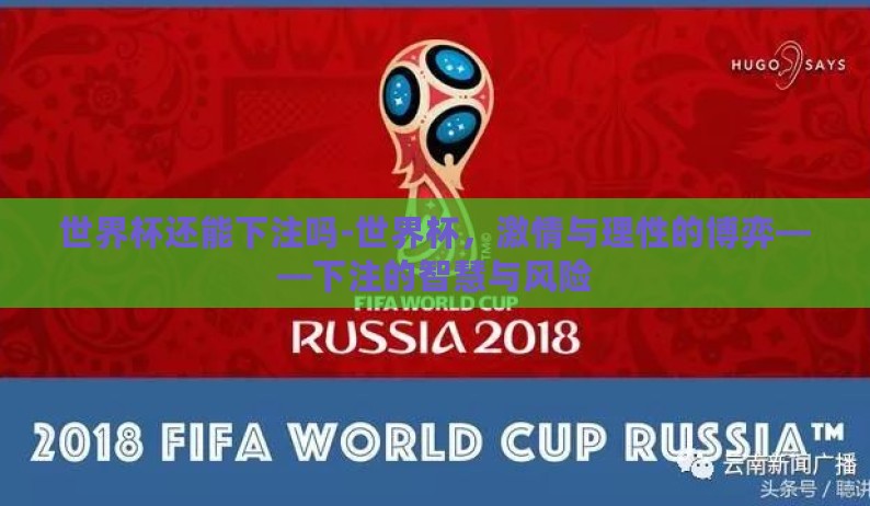 世界杯还能下注吗-世界杯，激情与理性的博弈——下注的智慧与风险