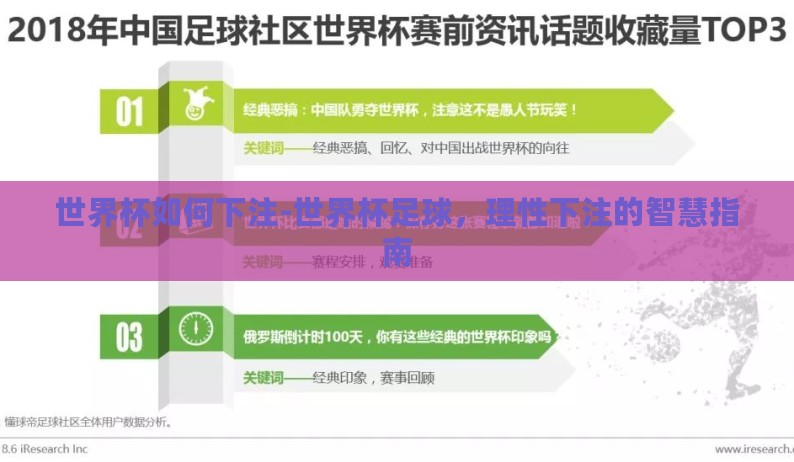 世界杯如何下注-世界杯足球，理性下注的智慧指南