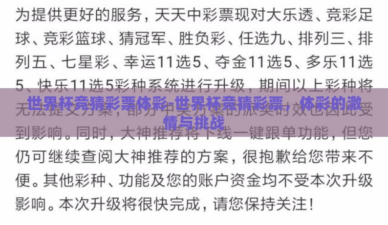 世界杯竞猜彩票体彩-世界杯竞猜彩票，体彩的激情与挑战