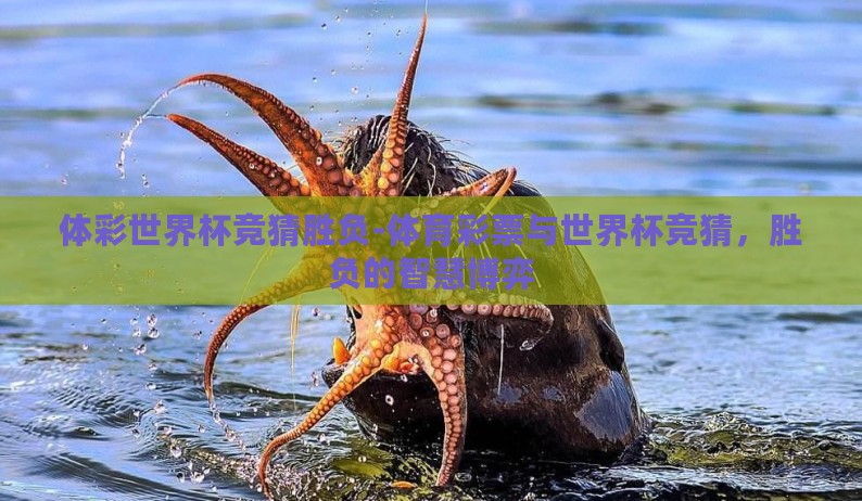 体彩世界杯竞猜胜负-体育彩票与世界杯竞猜，胜负的智慧博弈