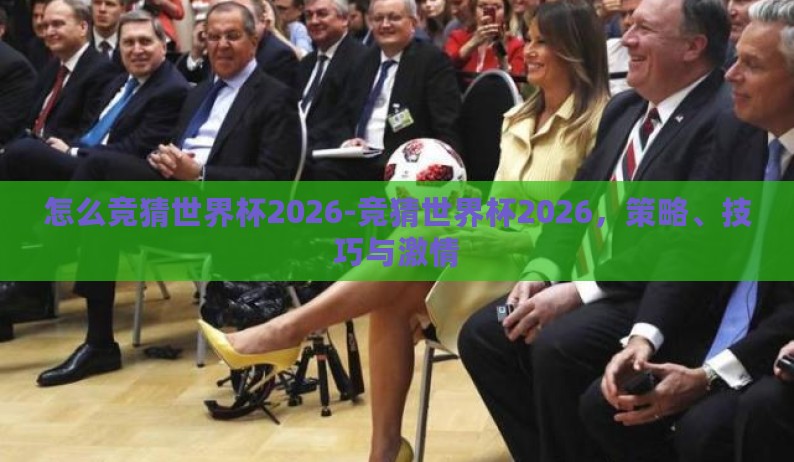 怎么竞猜世界杯2026-竞猜世界杯2026，策略、技巧与激情