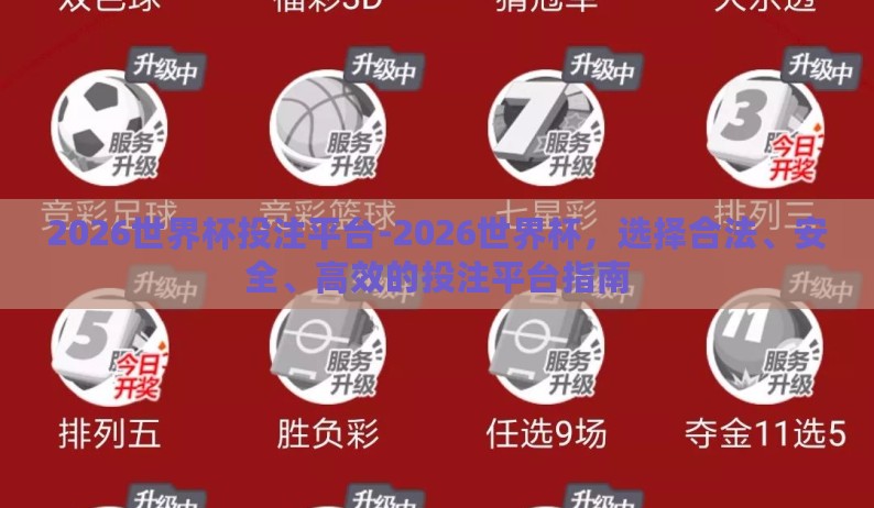 2026世界杯投注平台-2026世界杯，选择合法、安全、高效的投注平台指南