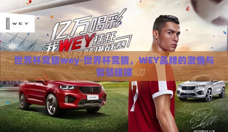 世界杯竞猜wey-世界杯竞猜，WEY品牌的激情与智慧碰撞