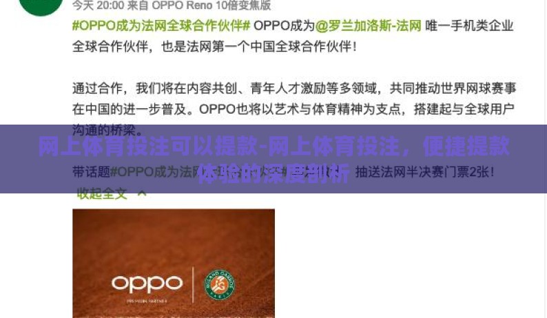 网上体育投注可以提款-网上体育投注，便捷提款体验的深度剖析