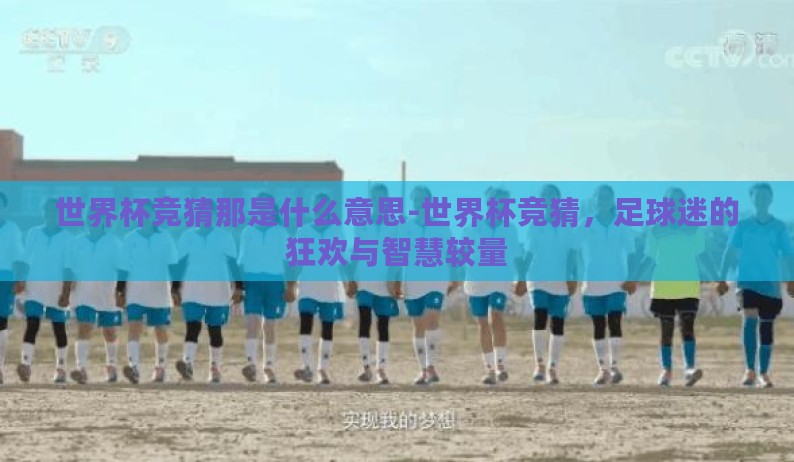 世界杯竞猜那是什么意思-世界杯竞猜，足球迷的狂欢与智慧较量