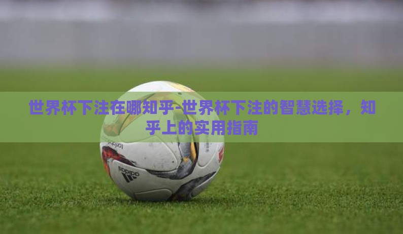世界杯下注在哪知乎-世界杯下注的智慧选择,知乎上的实用指南 世界杯下注在哪知乎-世界杯下注的智慧选择,知乎上的实用指南