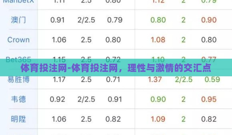 体育投注网-体育投注网，理性与激情的交汇点