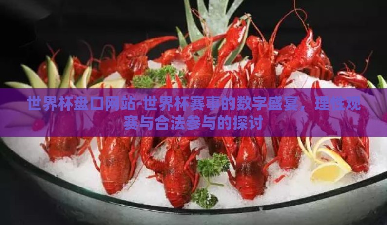 世界杯盘口网站-世界杯赛事的数字盛宴，理性观赛与合法参与的探讨