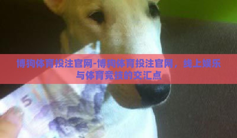 博狗体育投注官网-博狗体育投注官网，线上娱乐与体育竞技的交汇点