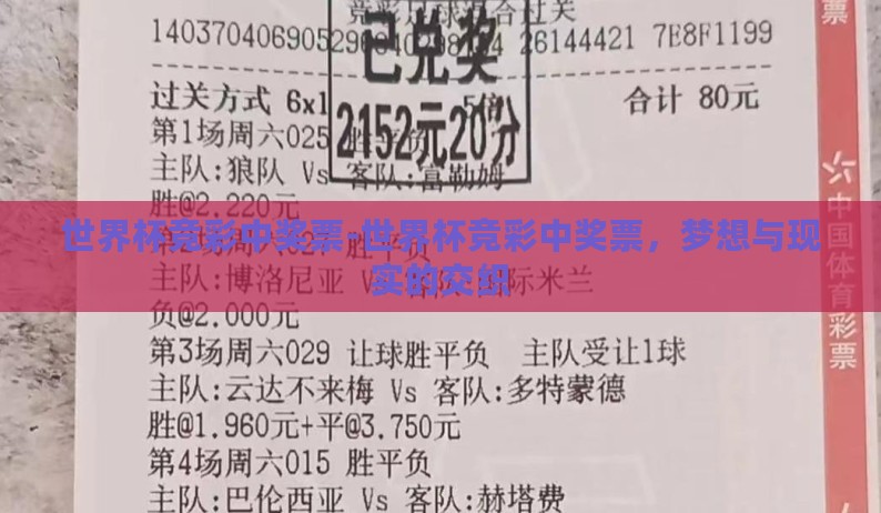 世界杯竞彩中奖票-世界杯竞彩中奖票，梦想与现实的交织