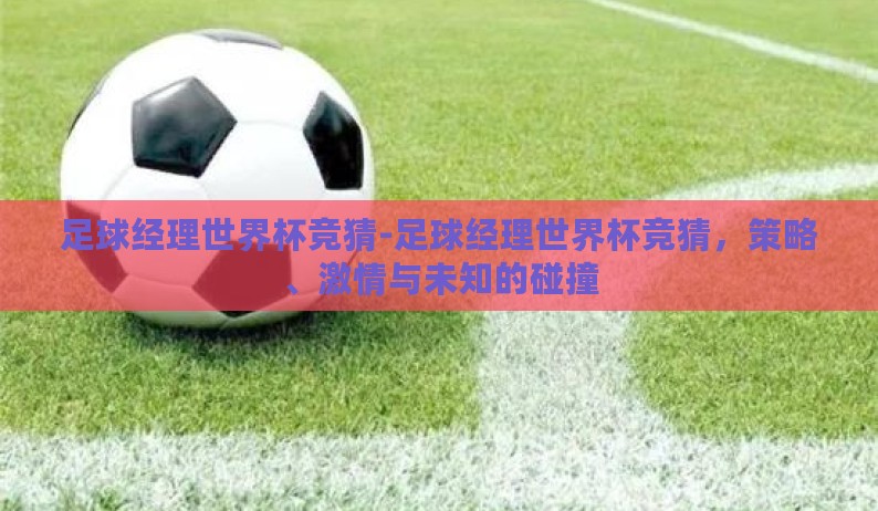 足球经理世界杯竞猜-足球经理世界杯竞猜,策略、激情与未知的碰撞 足球经理世界杯竞猜-足球经理世界杯竞猜,策略、激情与未知的碰撞