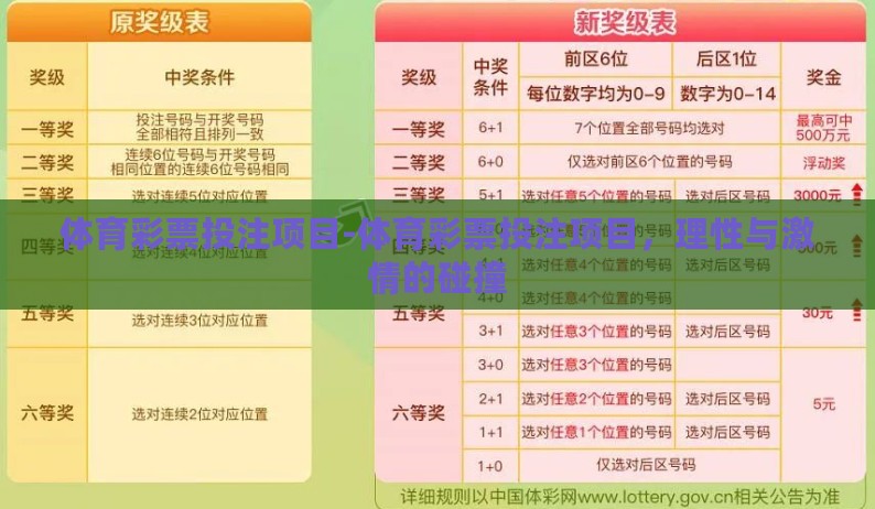 体育彩票投注项目-体育彩票投注项目，理性与激情的碰撞