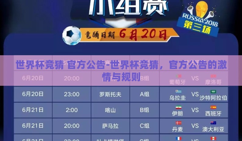 世界杯竞猜 官方公告-世界杯竞猜，官方公告的激情与规则