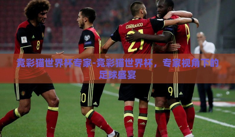 竞彩猫世界杯专家-竞彩猫世界杯,专家视角下的足球盛宴 竞彩猫世界杯专家-竞彩猫世界杯,专家视角下的足球盛宴