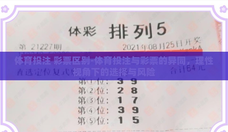 体育投注 彩票区别-体育投注与彩票的异同，理性视角下的选择与风险