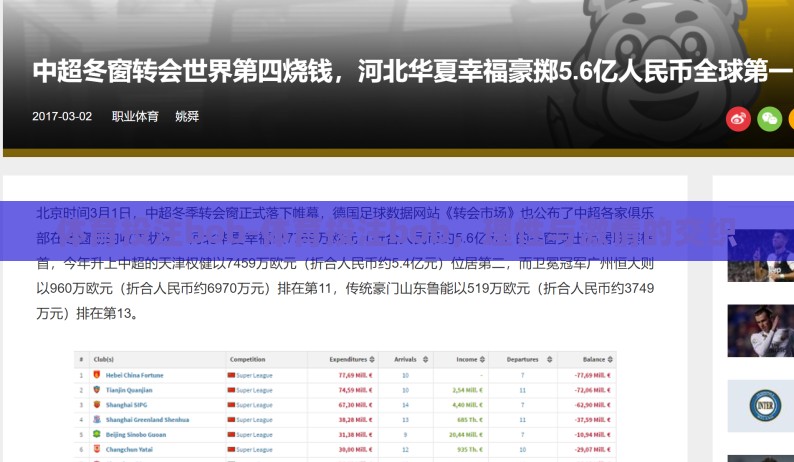 体育投注bob-体育投注bob，理性与激情的交织