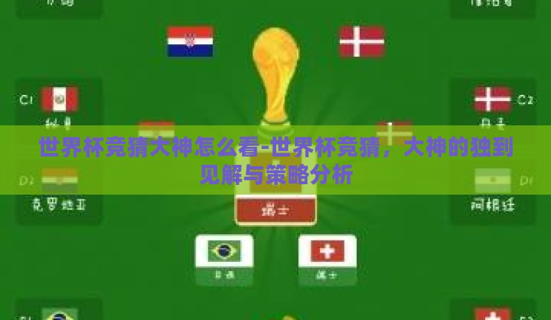 世界杯竞猜大神怎么看-世界杯竞猜，大神的独到见解与策略分析