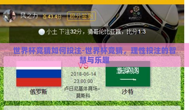 世界杯竞猜如何投注-世界杯竞猜，理性投注的智慧与乐趣