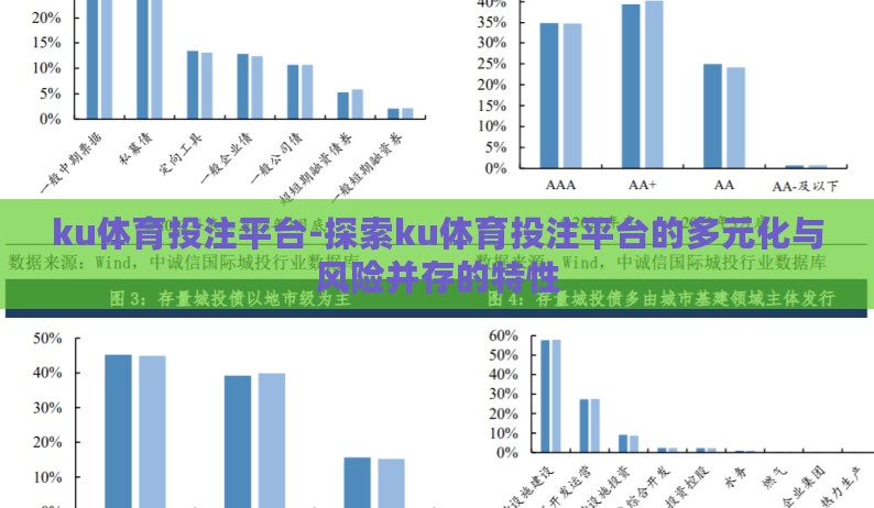ku体育投注平台-探索ku体育投注平台的多元化与风险并存的特性
