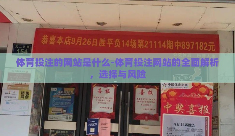 体育投注的网站是什么-体育投注网站的全面解析，选择与风险