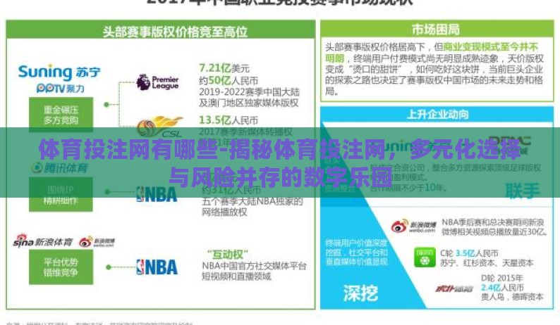 体育投注网有哪些-揭秘体育投注网,多元化选择与风险并存的数字乐园 体育投注网有哪些-揭秘体育投注网,多元化选择与风险并存的数字乐园