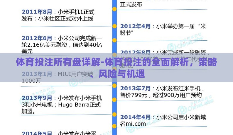 体育投注所有盘详解-体育投注的全面解析，策略、风险与机遇