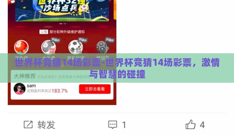 世界杯竞猜14场彩票-世界杯竞猜14场彩票，激情与智慧的碰撞