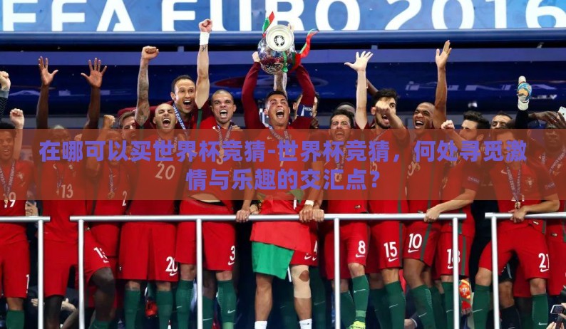 在哪可以买世界杯竞猜-世界杯竞猜，何处寻觅激情与乐趣的交汇点？