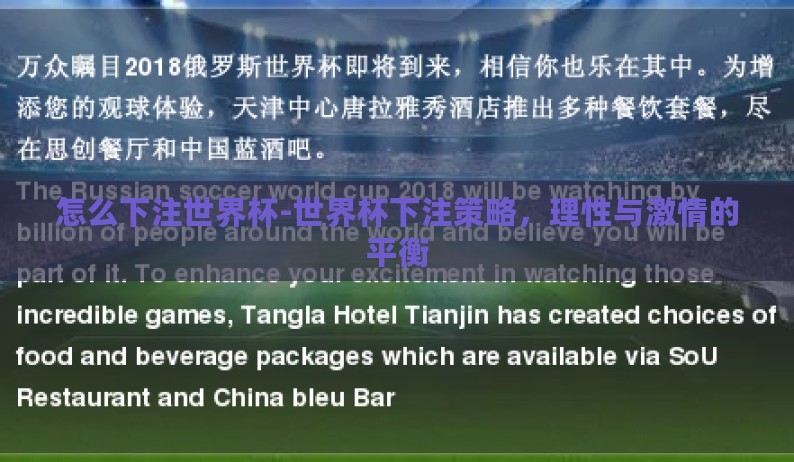 怎么下注世界杯-世界杯下注策略，理性与激情的平衡