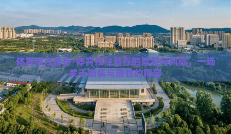 体育投注首存-体育投注首存的智慧与风险，一场关于激情与理性的博弈