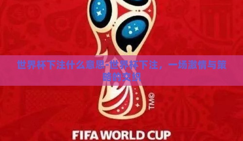 世界杯下注什么意思-世界杯下注，一场激情与策略的交织
