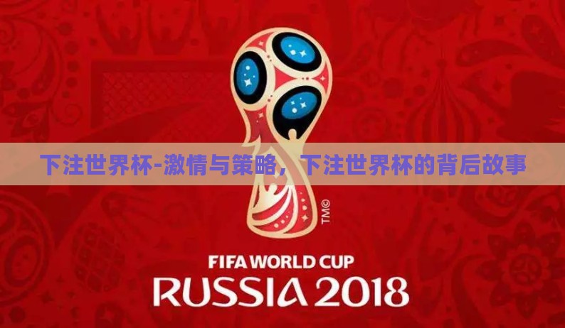下注世界杯-激情与策略，下注世界杯的背后故事