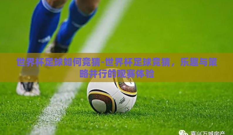 世界杯足球如何竞猜-世界杯足球竞猜，乐趣与策略并行的观赛体验