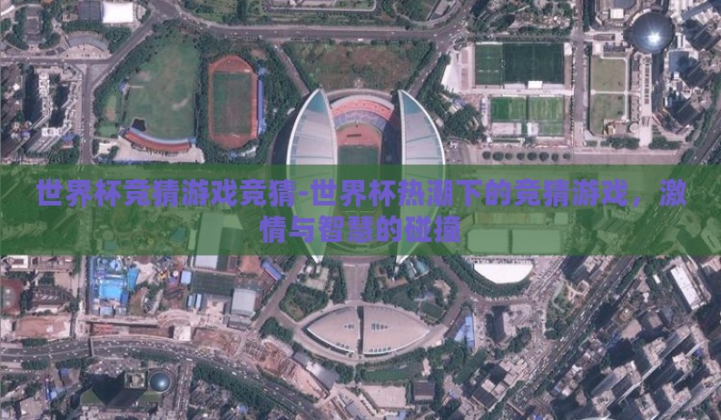 世界杯竞猜游戏竞猜-世界杯热潮下的竞猜游戏，激情与智慧的碰撞