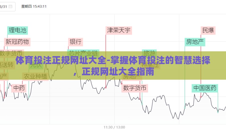 体育投注正规网址大全-掌握体育投注的智慧选择，正规网址大全指南